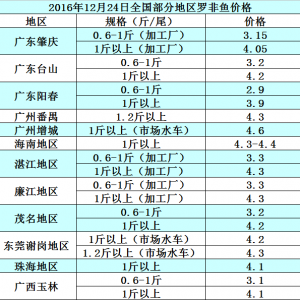 12��24���_���~�������~�������~����з���r��