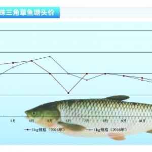 ���~����N����ƽ�� ����~�r����������������ˮ�aǰ�ء�2017��1�¿��Ј�څ��