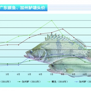 �����|���Ј�����ƣܛ �r���Խ�������ˮ�aǰ�ء�2017��1�¿��Ј�څ��