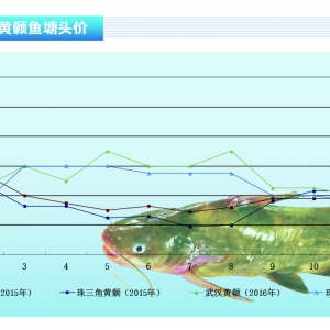 �S��~�����~�����Խ� �f�~����S��������ˮ�aǰ�ء�2017��1�¿��Ј�څ��