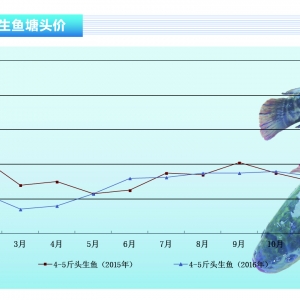 ���~��ˎ���z�y(c��)�Ӈ�(y��n) �~�r(ji��)�������{(di��o)������ˮ�a(ch��n)ǰ�ء�2017��1�¿��Ј�(ch��ng)څ��(sh��)