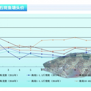 ʯ���~���Ј��r�񷀶�������ˮ�aǰ�ء�2017��1�¿��Ј�څ��