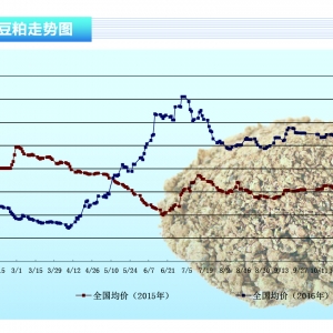 ���ɣ������泴���}������ ���ȶ��ɹ����΄݇���������ˮ�aǰ�ء�2017��1�¿��Ј�څ��