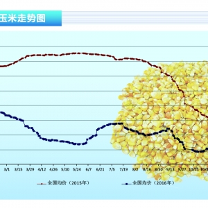 ���ף��a(ch��n)�^(q��)���������N�^(q��) ����(y��ng)���Ƀr����䡪����ˮ�a(ch��n)ǰ�ء�2017��1�¿��Ј�څ��