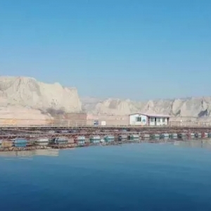 �@�Ҹ�ԭ��I�B���������~�K�w�ȃH��10.8%��������ʲô