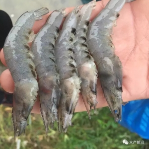 ����÷�X�l�F�����_͵���������l�����_6��