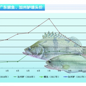 �Z�~���~�r���ݾS��������ˮ�aǰ�ء�2017��2�¿��Ј�څ��