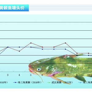 �S��~���AӋ2���~�r����m�ϝq������ˮ�aǰ�ء�2017��2�¿��Ј�څ��