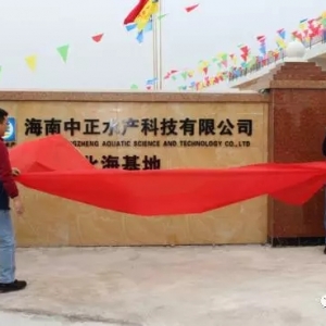 �������@ƥ�r���ĺ��R���u���_�I�������ǡ�ꑡ�