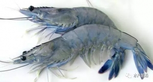 �����Л]�������{���r�أ��������׌��r�ą^�e��ʲô��