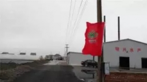 ÿ��ˮ�w���r9.57��ɹ���96%������ʲô���E��