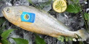 ����ͬ�����ԣ����´��S�~���t�����ⱳ��