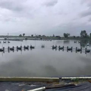 ˮ�a�Bֳ�����W�����r�����Bֳδ���·���