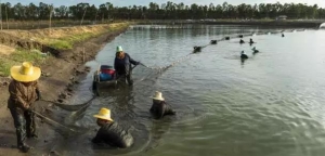 �@�N�ȷ��]ѭ�h�Bֳģʽ���B���󼯈F�������^ǧ��ȥ���^��