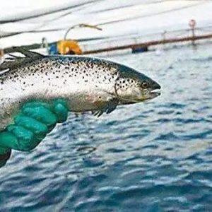 2017һ�������^�룬ȫ��������~���a�^�a����������Σ�