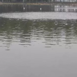 �������@Щ�~��Zʳ������׌�Bֳ�A�����ܾ��ϣ�