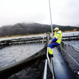 ���� | Ų�����K���m�����~�^�m�½���Ų�������~�r�������5�������