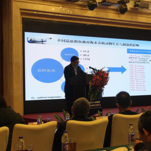 �~�w�wɫ��������������������֬��׃�|(zh��)��