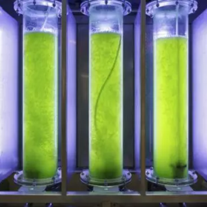 �ͺ��ܣ����巽�㣬�@�N��������ϵ�y��ʹ���aЧ�����10��