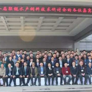 ������A�|�����Ј���������100�f��