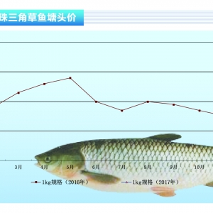 ���~���AӋ3������߀���ϝq������ˮ�aǰ�ء�2017��3�¿��Ј�څ��