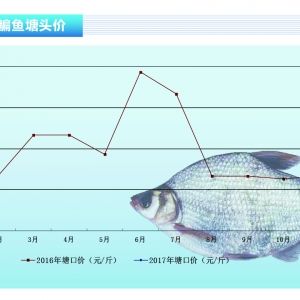 ���~���~�r(ji��)���F(xi��n)�߸�څ�ݡ�����ˮ�a(ch��n)ǰ�ء�2017��3�¿��Ј�څ��