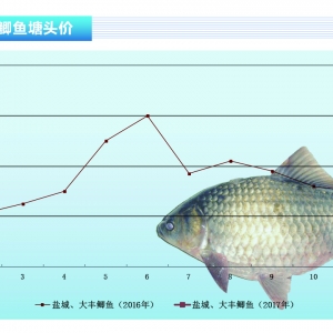 �a�~���AӋ3���a�~�r���Нq�r���g������ˮ�aǰ�ء�2017��3�¿��Ј�څ��