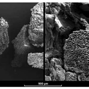 �@�N��ܛ�������ʹ�S�㸡����(l��i)����(sh��)�F(xi��n)ˮ�S���x��