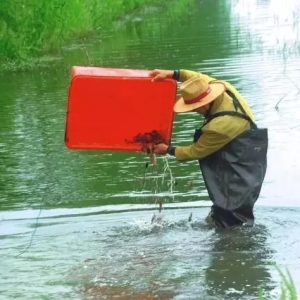 ��ӹ���ɞ�С���r�a(ch��n)�I(y��)���I(y��)��������һ��(g��)�L(f��ng)�ڣ�