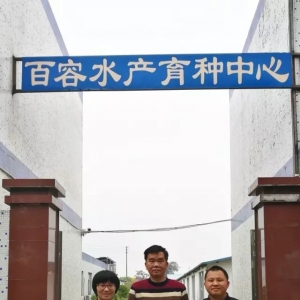 ���󼯈F(tu��n)�ٴ��{(di��o)����������혡����+��N��