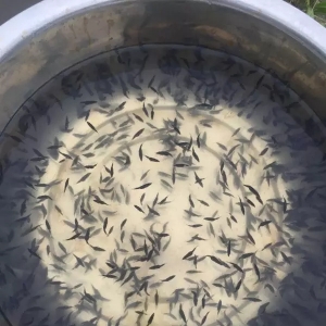 3��23��ȫ��(gu��)���~��Ҫ�B(y��ng)ֳ�^(q��)���(b��o)�r(ji��)