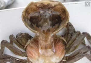 �����ĺ�з����δ���l(f��)��ˮ�T�ӡ�����������ʲô׌�������з�n���Ȅe�˶��u5Ԫ/�