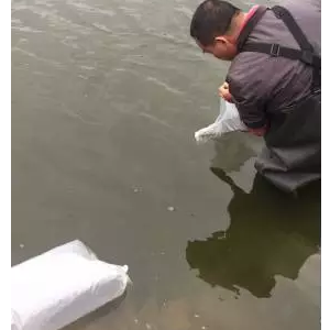 �������@�����P(gu��n)�I�c�������|����ˮ�������ɻ��ʴ�󷭱���