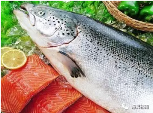 �������qȫ�򹩑��Ծo�����[�R���~�r�񡰸��L���q�r