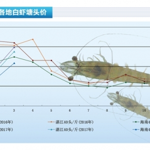 ��(du��)�r��������ϡ�� �r�r(ji��)�ߝq������ˮ�a(ch��n)ǰ�ء�2017��4�¿��Ј�(ch��ng)څ��(sh��)