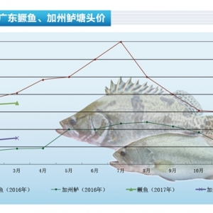 �Z�~����ӭ����С�߷� �r��S��������ˮ�aǰ�ء�2017��4�¿��Ј�څ��