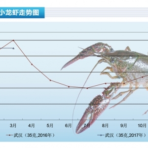 С���r���r�񲨄Ӳ��󡪡���ˮ�aǰ�ء�2017��4�¿��Ј�څ��