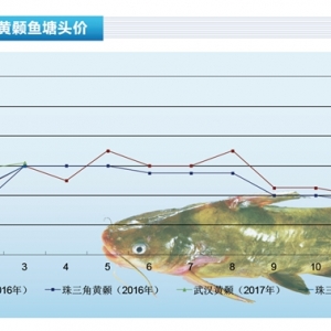 �S��~��4�������^�m�ϝq���g������ˮ�aǰ�ء�2017��4�¿��Ј�څ��