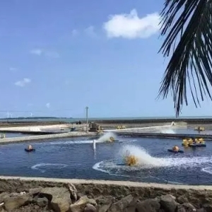 ȫ��9���r���a�^����ף������r���������Ӱ