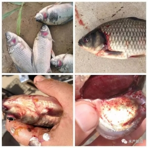 �a�~�w��Ѫ����׃���lչ�Ͳ��l�Y���Y