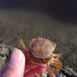 ��зһ��픚������_�����[�ص������������©��