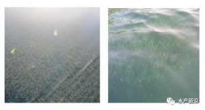 ��Ԕ����һ���x����з1-6�¸�Ч�Bֳ����Ҫ�c