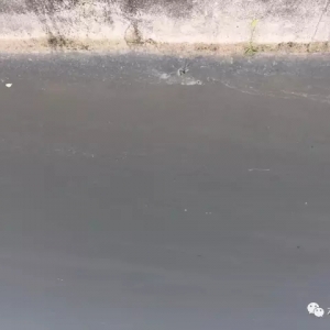 ���~�����@ô�ã�ǧ�f��Ҫ�������@Щ��