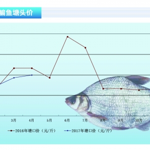 ���~���r(ji��)��ƽ��(w��n) �ɽ������󡪡���ˮ�a(ch��n)ǰ�ء�2017��5�¿��Ј�څ��