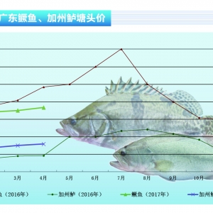 �Z�~�����~�r�������� ��r���ԡ�����ˮ�aǰ�ء�2017��5�¿��Ј�څ��