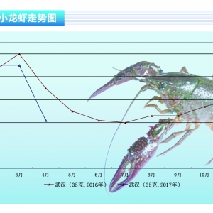 С���r���������� �r�����½�������ˮ�aǰ�ء�2017��5�¿��Ј�څ��