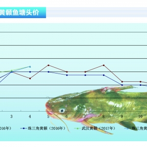 �S��~��4���~�r���qһƬ�� 5�»򌢷�������������ˮ�aǰ�ء�2017��5�¿��Ј�څ��
