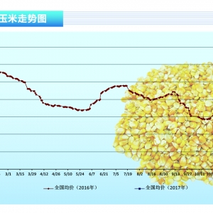 ���ף�������Ϣ����ų� �Ј��M�벩�Ġ�B(t��i)������ˮ�a(ch��n)ǰ�ء�2017��5�¿��Ј�څ��
