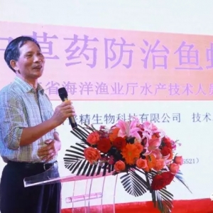 �@�ҹ�˾���Q2��ɑ��ٌ��r���������ڲ�����߀�Ǵ��Ё��^��