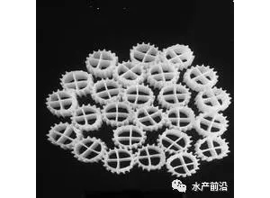 ����2���_��RAS�������^�Vϵ�y����Փ�OӋ